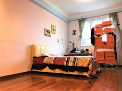 Serangoon Garden Estate (D19), Semi-Detached #205327551